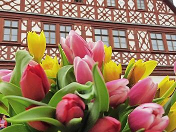 Mit einem Meer an Blüten versuchen die Eberner,  ihre Stadt schöner zu machen.Eckehard Kiesewetter
