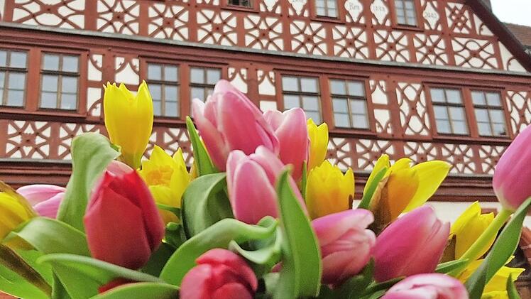 Mit einem Meer an Blüten versuchen die Eberner,  ihre Stadt schöner zu machen.Eckehard Kiesewetter