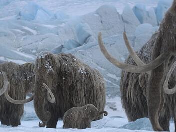 Mit "Ein Planet vor unserer Zeit: Eiszeit" wagt sich die Reihe in neue Gefilde vor.