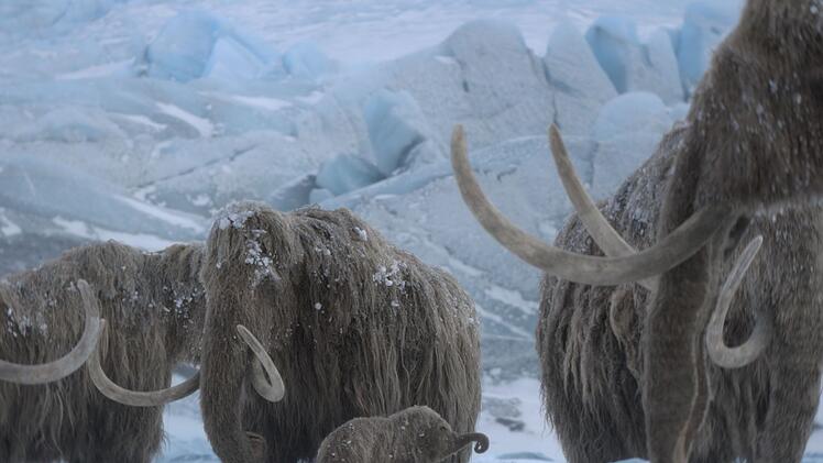 Mit "Ein Planet vor unserer Zeit: Eiszeit" wagt sich die Reihe in neue Gefilde vor.