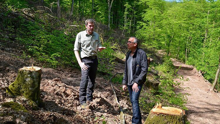Was genau an der Aschacher Leite gemacht wird, erklärt Revierleiter Michael Sautter dem Zweiten Bürgermeister Andreas Sandwall (rechts). Letzterer kandidiert nun als Erster Bürgermeister für Bad Bocklet. Foto: Kathrin Kupka-Hahn/Archiv