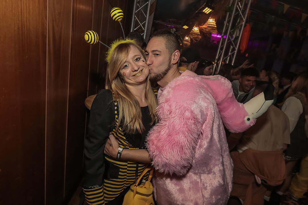 Fasching 2025 in Schweinfurt!