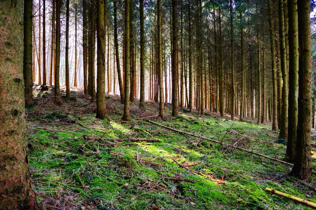 Die schönsten Frühlingsfotos aus Bad Kissingen und Umgebung