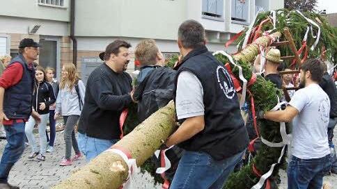 Die Neunkirchner Männer bringen den Kerwabaum in die Senkrechte.