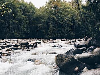 Ein Passant bemerkte den toten Mann im Bach. Symbolfoto: Beng Wang/unsplash.com