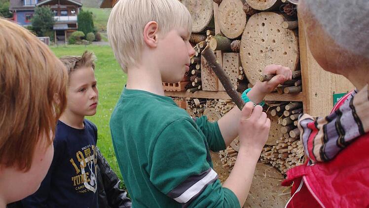 Florian klopft auch noch die letzte Ritze zu.