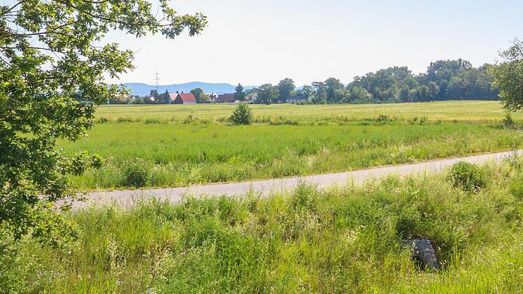 An der Kreisstraße 8 beim Kersbacher Kreisel soll das neue Baywa-Gelände entstehen.  Foto: Josef Hofbauer