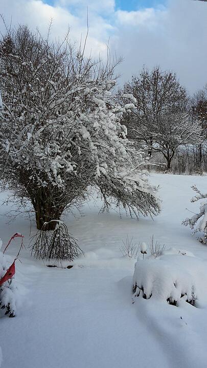 Schnee und Eis - Die schönsten Aufnahmen aus Franken
