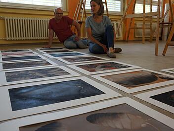 Die Reblaus ist zurück - auf den Bildern, die Bernhard Gößmann-Schmitt und Thea Keßler für den Wettbewerb gesammelt haben. Foto: Arkadius Guzy