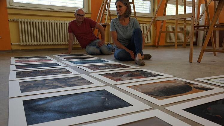 Die Reblaus ist zurück - auf den Bildern, die Bernhard Gößmann-Schmitt und Thea Keßler für den Wettbewerb gesammelt haben. Foto: Arkadius Guzy