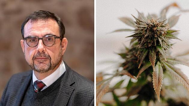Holetschek wegen "Anti-Cannabis-Feldzug" in der Kritik - Laufer Politikerin gibt Ratschlag