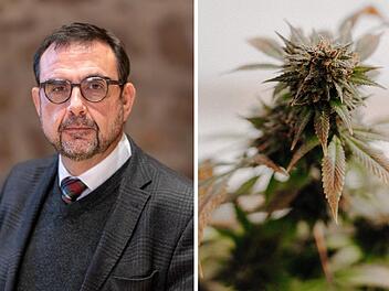 Holetschek wegen "Anti-Cannabis-Feldzug" in der Kritik - Laufer Politikerin gibt Ratschlag