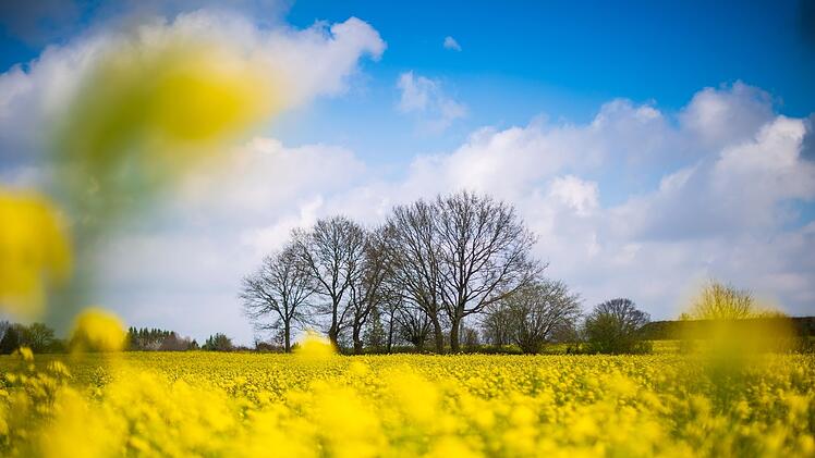 Wetter in Franken.