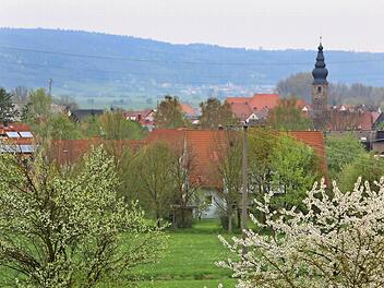 "Skyline" von Zapfendorf mit der Pfarrkirche St. Peter und Paul  Fotos: Barbara Herbst
