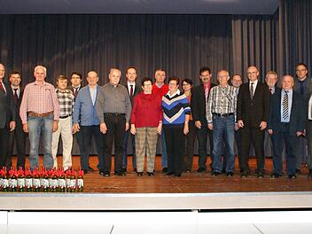 Stolz auf ihre Mitbürger zeigten sich die Bürgermeister von Rauhenebrach bis Rentweinsdorf. Fotos: Sabine Weinbeer