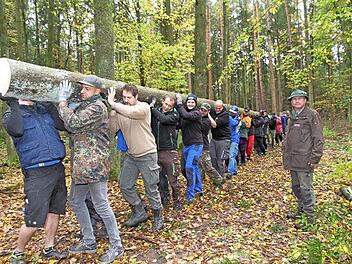 Förster Erich Daum ist dabei, als die Hallerndorfer Kerwasburschen den stattlichen Kirchweihbaum aus dem Staatswald holen.  Foto: Matthias Erlwein