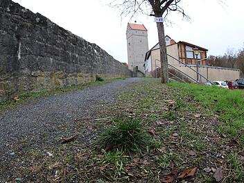 Die Wege entlang der Stadtmauer sollen bis zum Stadtjubiläum im Jahr 2020 hergerichtet werden. Thomas Malz