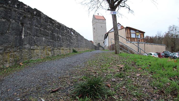Die Wege entlang der Stadtmauer sollen bis zum Stadtjubiläum im Jahr 2020 hergerichtet werden. Thomas Malz