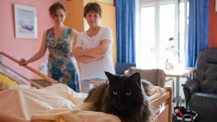 Kater Puma wacht am Bett seines sterbenden Herrchens. Hartmut Glienke ist jetzt im Hospiz zu Hause - das hat er selbst so gesagt. Ehefrau Gerti und Tochter Susanne  sind Besucher. Sie kommen täglich und können bei Bedarf auch über Nacht bleiben.  Fotos: Barbara Herbst