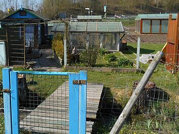 Das Thema Gewächshaus ist ein Knackpunkt in der Ebracher Kleingartenanlage. Foto: Walter Hanslok