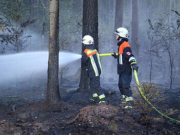 Im Heinersreuther Forst ist es am Freitagabend erneut zu einem Brand gekommen. Foto: NEWS5 / Holzheimer