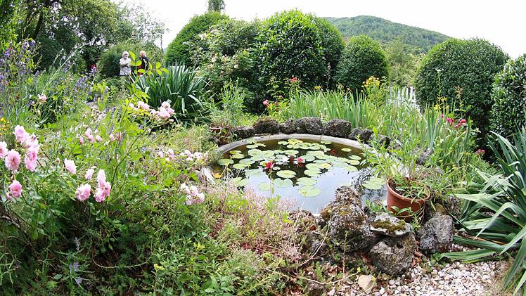Der Gartenteich wurde durch Hörlins Gestaltung zu neuem Leben erweckt.