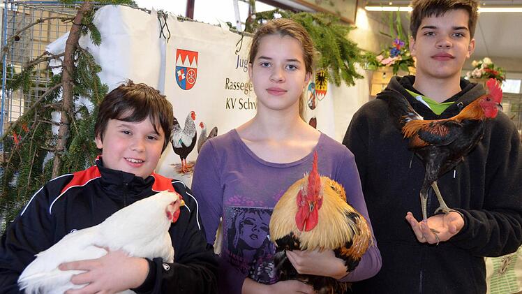 Sandro Schmitt (Münnerstadt), Hannah und Philipp Hertlein (beide Bergrheinfeld) waren drei von zehn jugendlichen Ausstellern bei der 22. Kreisschau der Kleintierzüchter.  Foto: Peter Rauch