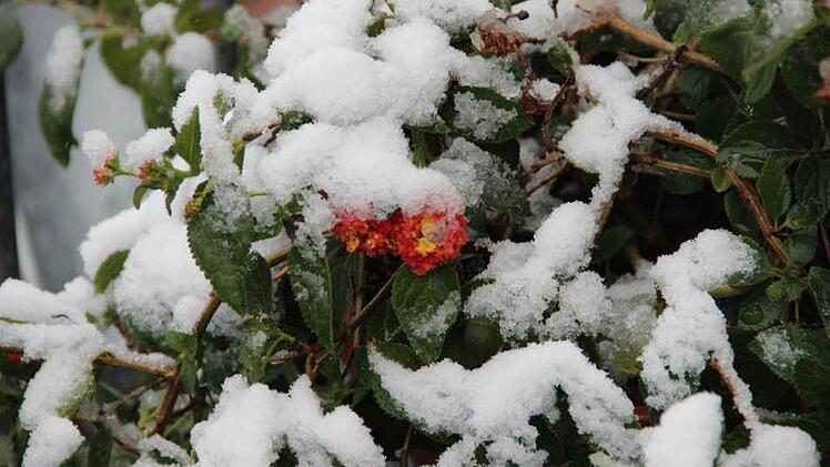 Winter in Münnerstadt. Foto: Heike Beudert.