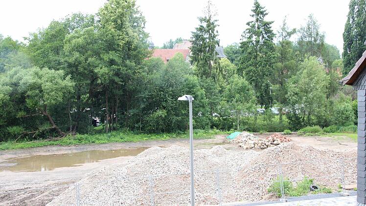 Das Wasserschloss Mitwitz (hinter den Bäumen) soll in Zukunft besser zu erkennen sein, wenn der Bewuchs etwas gelichtet ist. Der Platz der Industriebrache wird neu gestaltet.  Foto: Friedwald Schedel