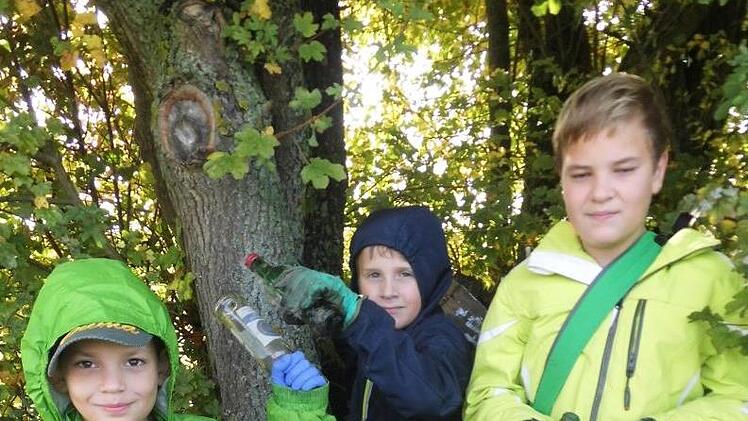 Justin Dresel, Timo Feuerlein und Kevin Dresel (von links) bergen Glasflaschen aus einem hohlen Baum in den Aischwiesen.