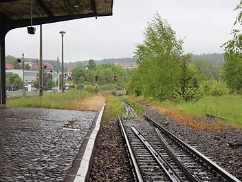 Gleis nach nirgendwo: Die Verbindung Eisfeld-Coburg ist seit 1945 gekappt.