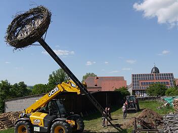 Hau-Ruck-Aktion:  Der Obst- und Gartenverein und Reinhard Grell  haben in Lahm eine Nistplattform  aufgestellt. Ein bisschen Glück braucht es aber schon, wenn sich  dort noch heuer  Vögel niederlassen sollen.Berthold Köhler