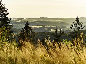 War das nun das Aus für den Nationalpark Frankenwald?  Foto: Frankenwald-Tourismus/M. Felgenhauer
