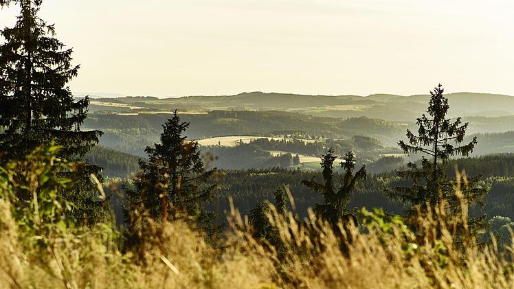 War das nun das Aus für den Nationalpark Frankenwald?  Foto: Frankenwald-Tourismus/M. Felgenhauer