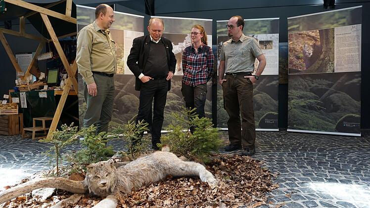 Luchsausstellung im Haus der Langen Rhön in Oberelsbach: Ausstellungseröffnung mit (von links): Michael Dohrmann, Michael Geier, Claudia Stieglbunner (Praktikantin) und Tobias Gerlach (Monitorin Biosphärenreservat).  Foto: Marion Eckert