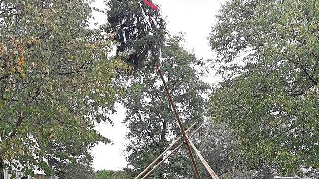 Der 18 Meter hohe Baum war zügig aufgestellt. Foto: Franz Huschka