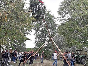 Der 18 Meter hohe Baum war zügig aufgestellt. Foto: Franz Huschka