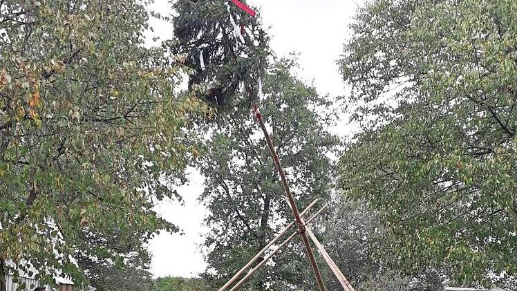 Der 18 Meter hohe Baum war zügig aufgestellt. Foto: Franz Huschka