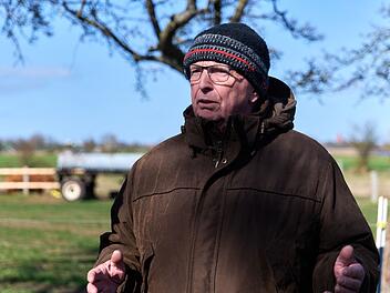 Buckelwal liegt weiter in Wismarbucht