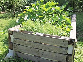 ASB-Quartiersmanager Andreas Bär möchte mit den von Pia Dohles betreuten "Gartenwichteln" vom OGV Neundorf Hochbeete bauen. Die IR unterstützt das Projekt.