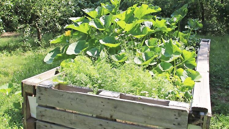 ASB-Quartiersmanager Andreas Bär möchte mit den von Pia Dohles betreuten "Gartenwichteln" vom OGV Neundorf Hochbeete bauen. Die IR unterstützt das Projekt.