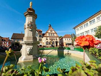 So schön ist Bad Rodach. Man muss nur wieder lernen hinzusehen. Acht junge Männer haben es getan. Foto: Stefanie Karl