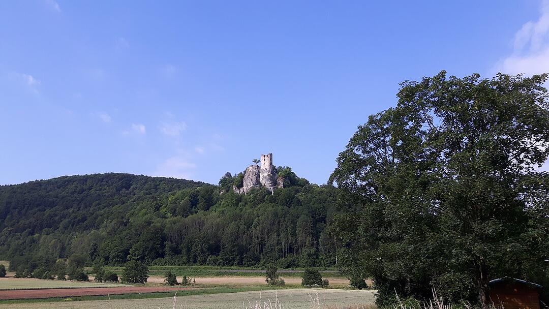 Die schönsten Sommerfotos aus Erlangen und Umgebung