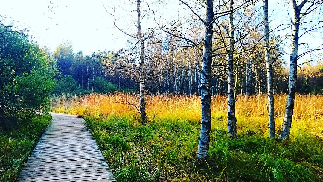 Urlaub in Franken: Rhön im Sommer