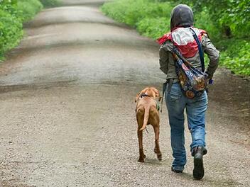 Ludwigsstadts Bürgermeister ist dafür, dass Hundebesitzer die Hinterlassenschaften ihrer Vierbeiner wieder mit heimnehmen. Symbolfoto: Daniel Karmann, dpa