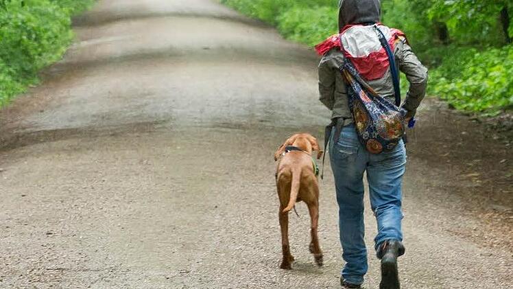 Ludwigsstadts Bürgermeister ist dafür, dass Hundebesitzer die Hinterlassenschaften ihrer Vierbeiner wieder mit heimnehmen. Symbolfoto: Daniel Karmann, dpa