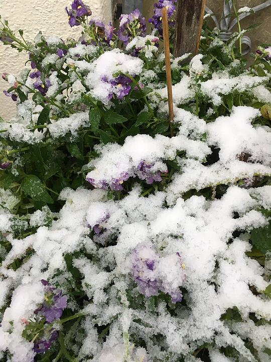 Leserbilder: Der erste Schnee in Franken