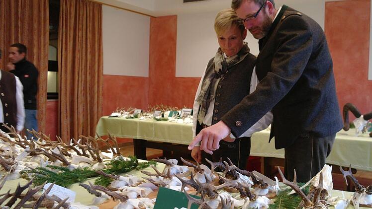 Die ausgestellten Jagdtrophäen wurden interessiert besichtigt und diskutiert. Foto: Stefanie Elm