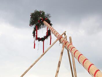 Der erste Maibaum steht - nach der Aufregung der vergangenen Tage und von geballter Manneskraft in die Höhe gehievt - auf dem Ferienhof Kosertal in Marktleugast. Foto: Klaus-Peter Wulf