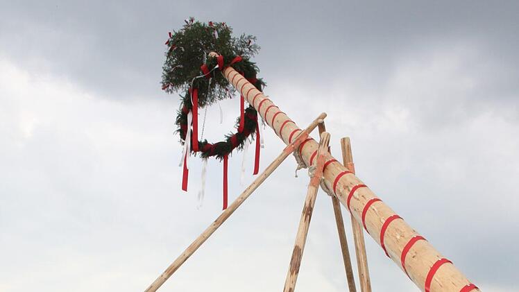 Der erste Maibaum steht - nach der Aufregung der vergangenen Tage und von geballter Manneskraft in die Höhe gehievt - auf dem Ferienhof Kosertal in Marktleugast. Foto: Klaus-Peter Wulf